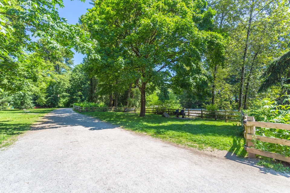 Green neighbourhood walking path